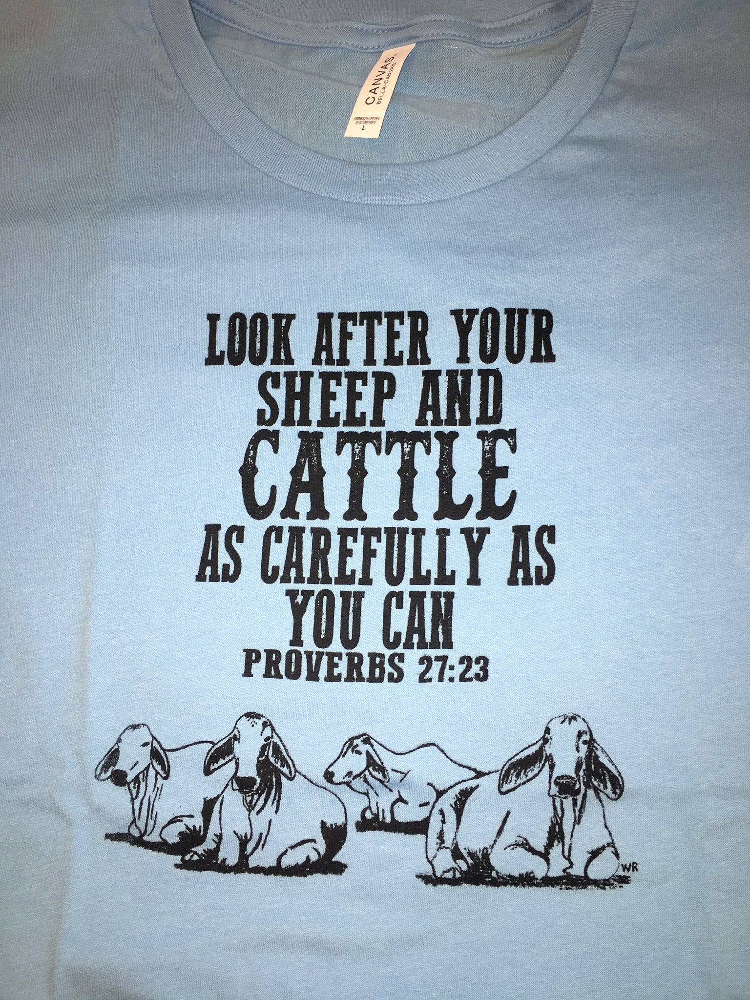 Proverbs 27:23 Brahman Tee